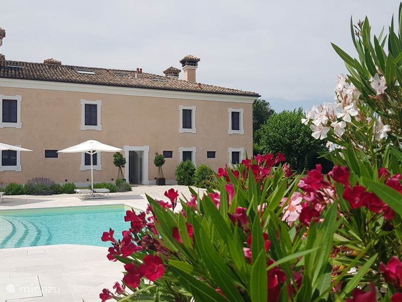Vakantiehuis Italië, Marche, Monsano Appartement Villa Montefiore - app. Ginestra