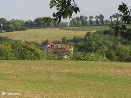 Les bâtiments vus du plateau.