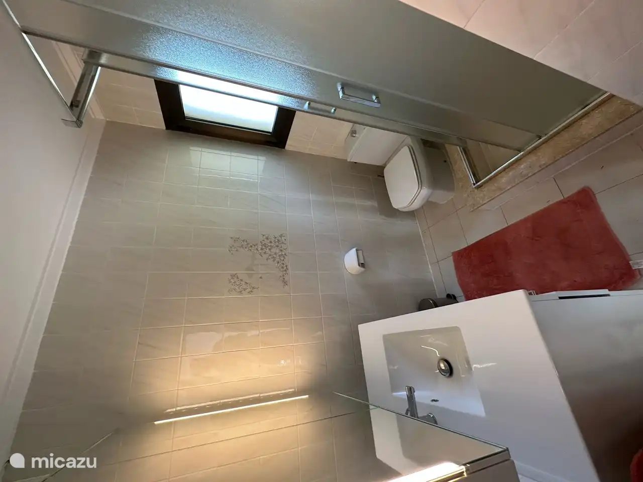 Bathroom in the lower area