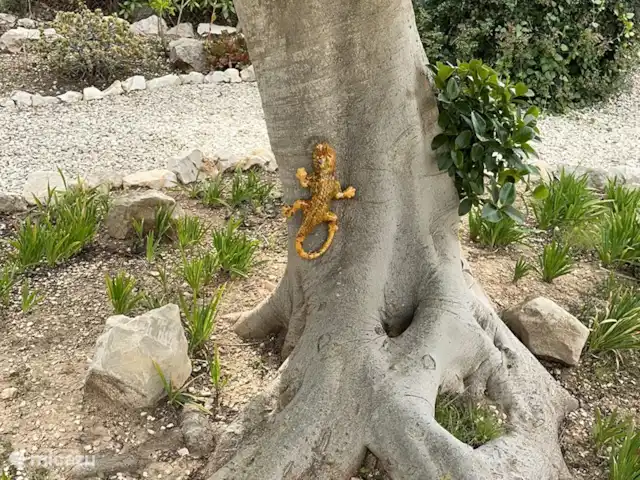 Location de Vacances Espagne, Costa Blanca, Moraira, villa - Villa Hélios