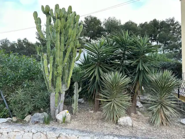 Location de Vacances Espagne, Costa Blanca, Moraira, villa - Villa Hélios