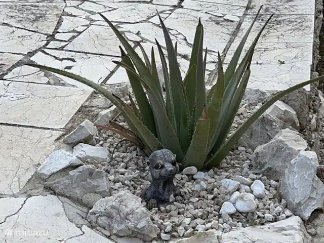 Location de Vacances Espagne, Costa Blanca, Moraira, villa - Villa Hélios