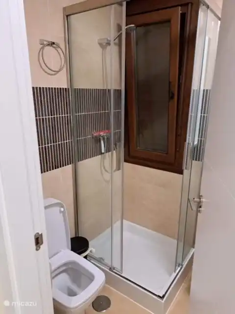 petite salle de bain avec douche et WC