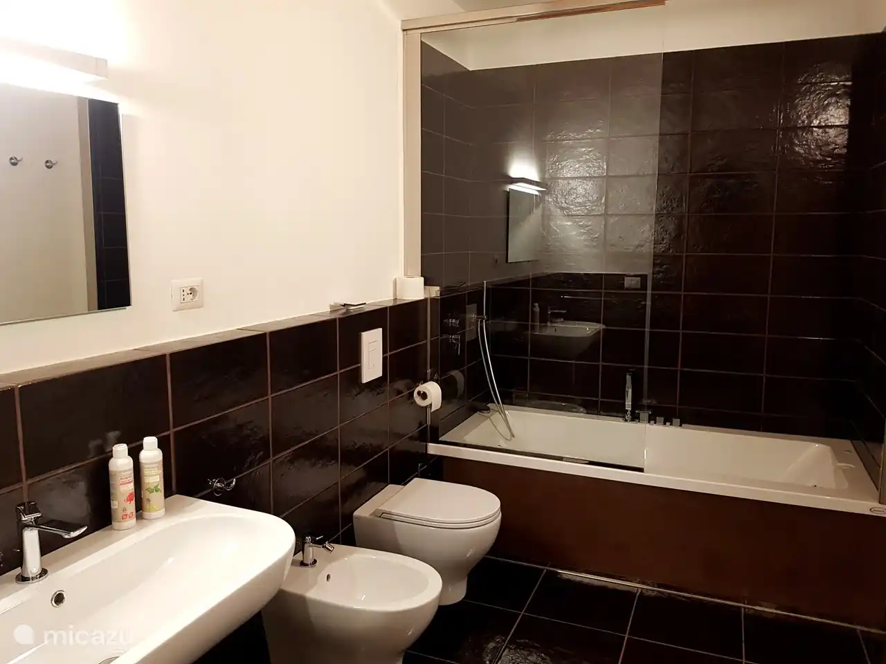 Bathroom Camelia with shower in the bubble bath, sink, toilet, bidet and hairdryer