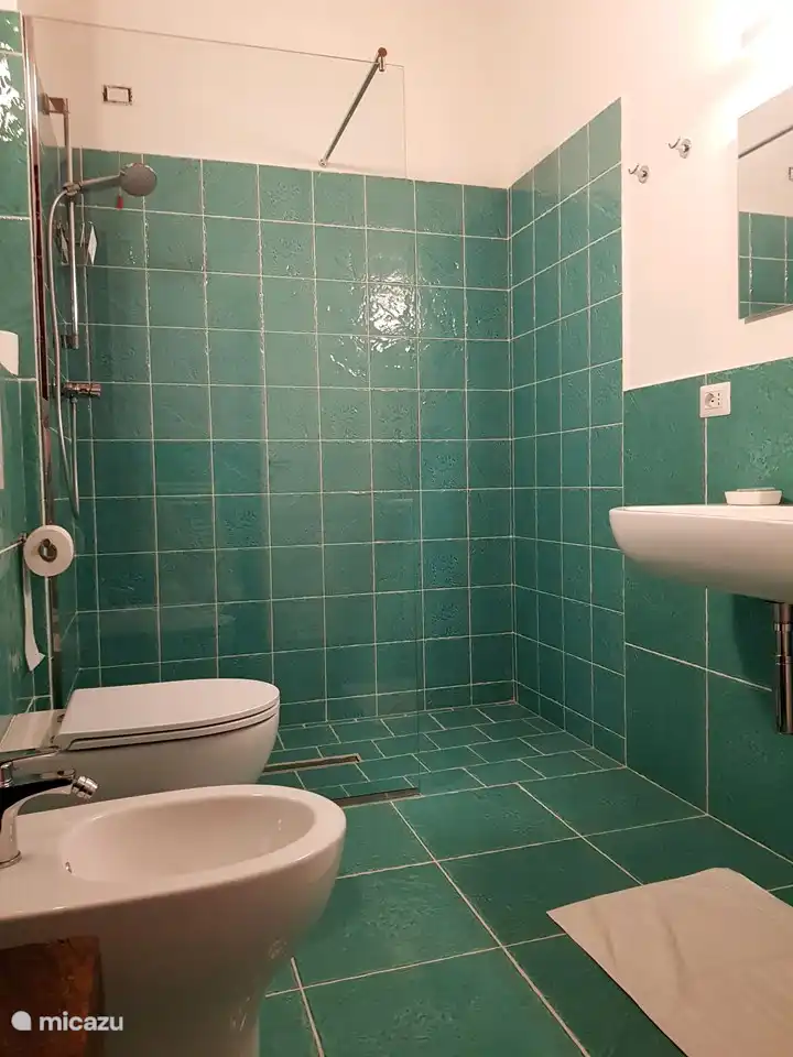 Bathroom Suite Salvia with walk-in shower, sink, toilet, bidet and hairdryer