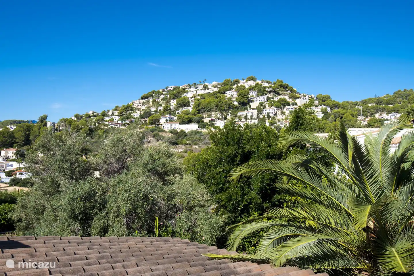 La villa est entourée de verdure.