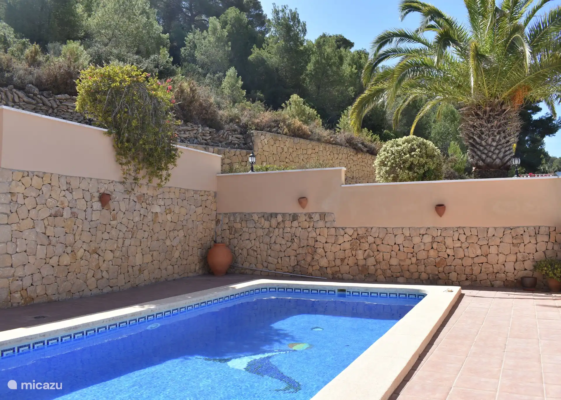 Ein erfrischendes Bad im Pool!