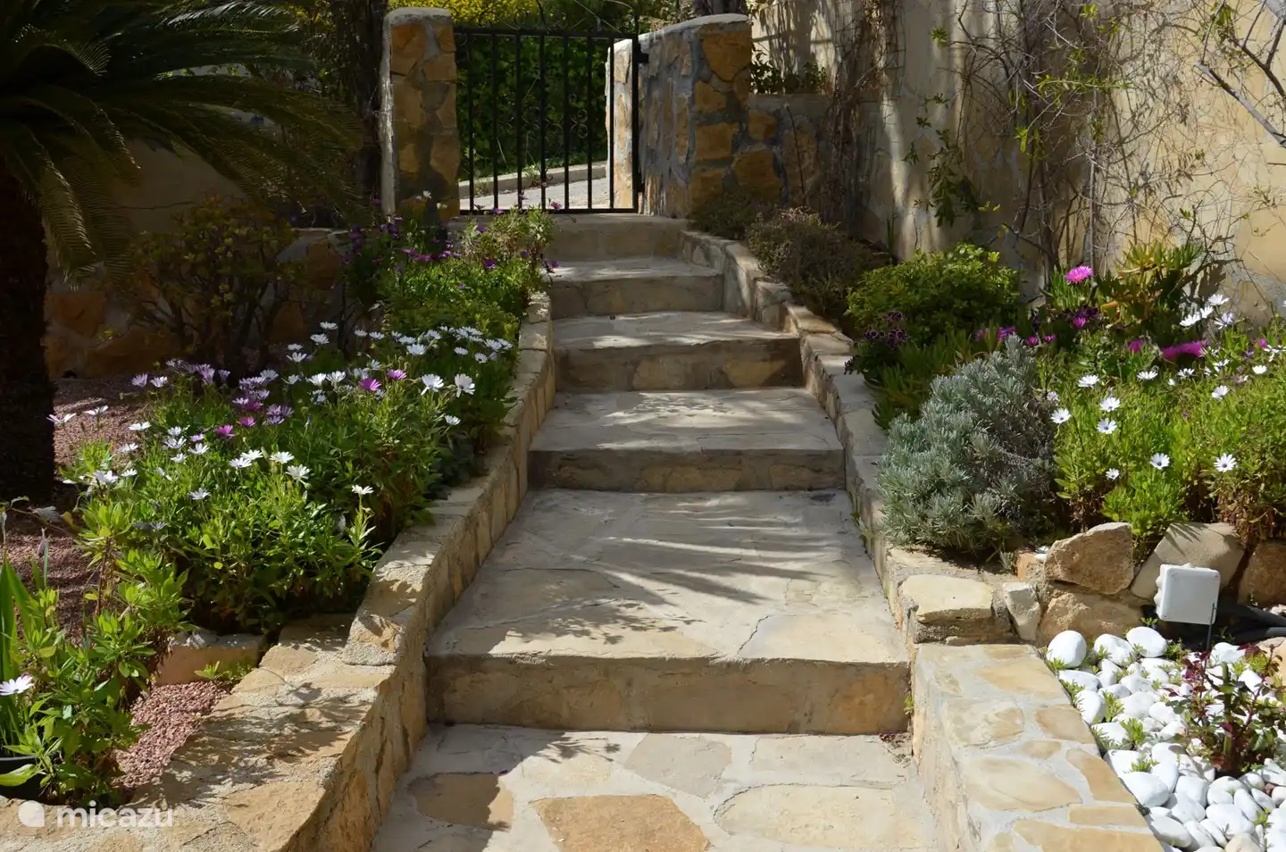 Steps through the garden