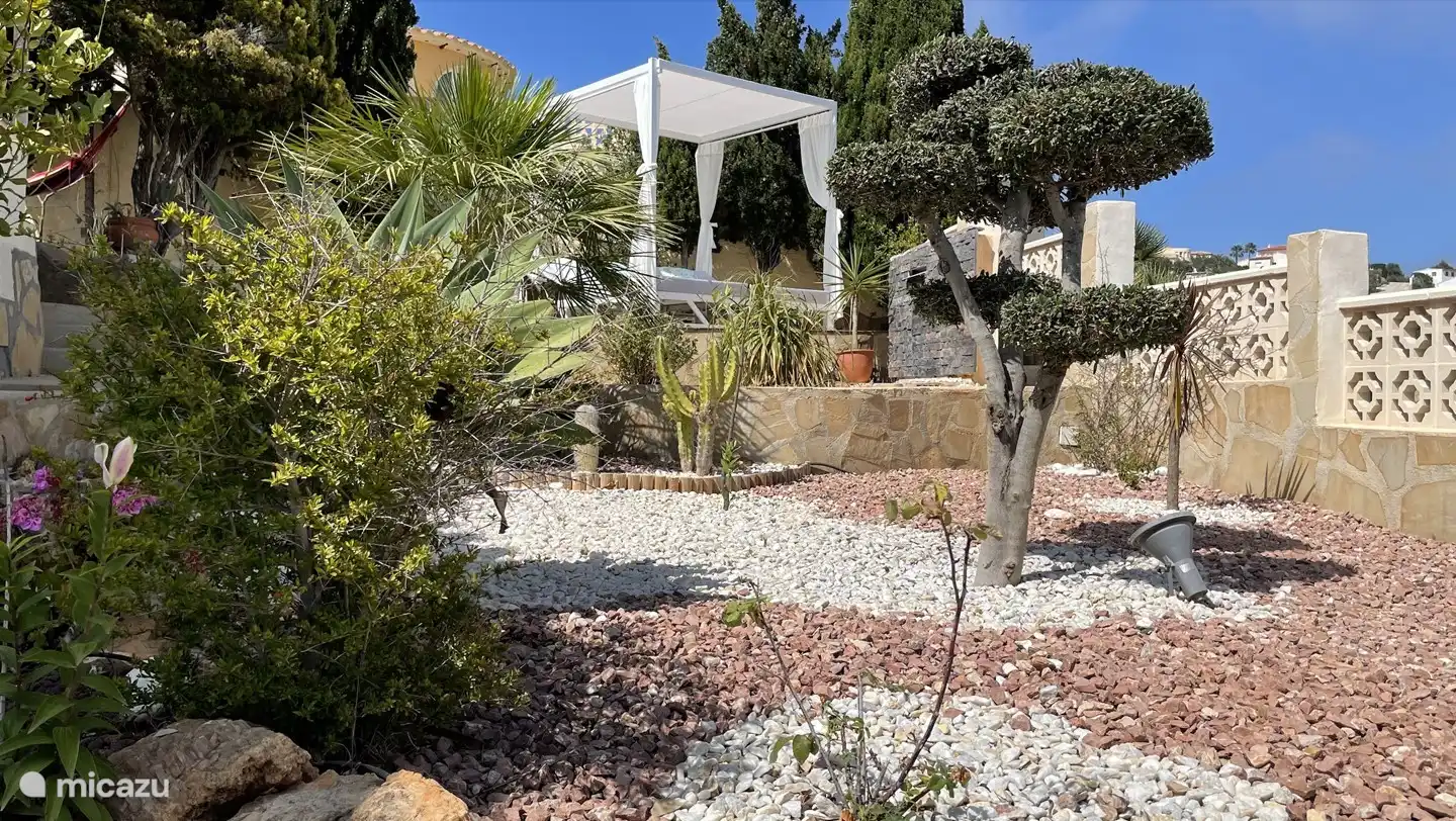 Spacious garden with lounge sofa