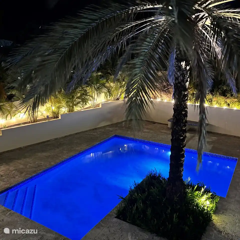 Iluminación nocturna atmosférica en el jardín.