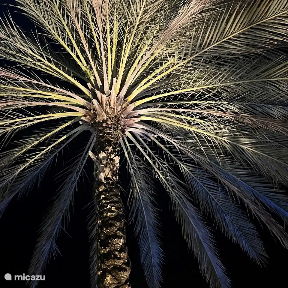 Iluminación atmosférica