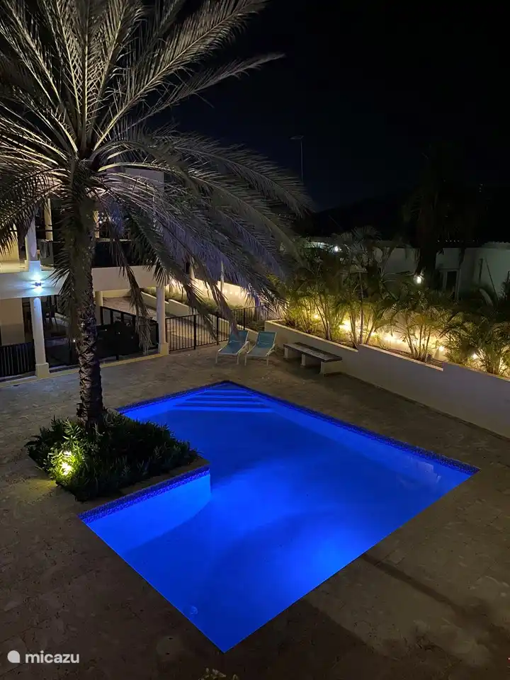 Disfrute sentándose afuera por la noche.