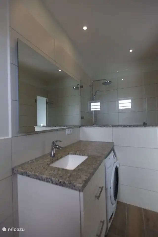 Badezimmer mit Waschbecken, Toilette, Waschmaschine und großer ebenerdiger Dusche mit Regenduschkopf