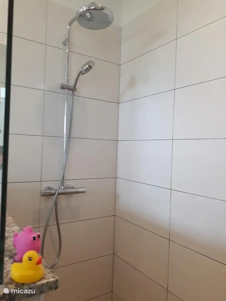 Regendusche und Handbrause