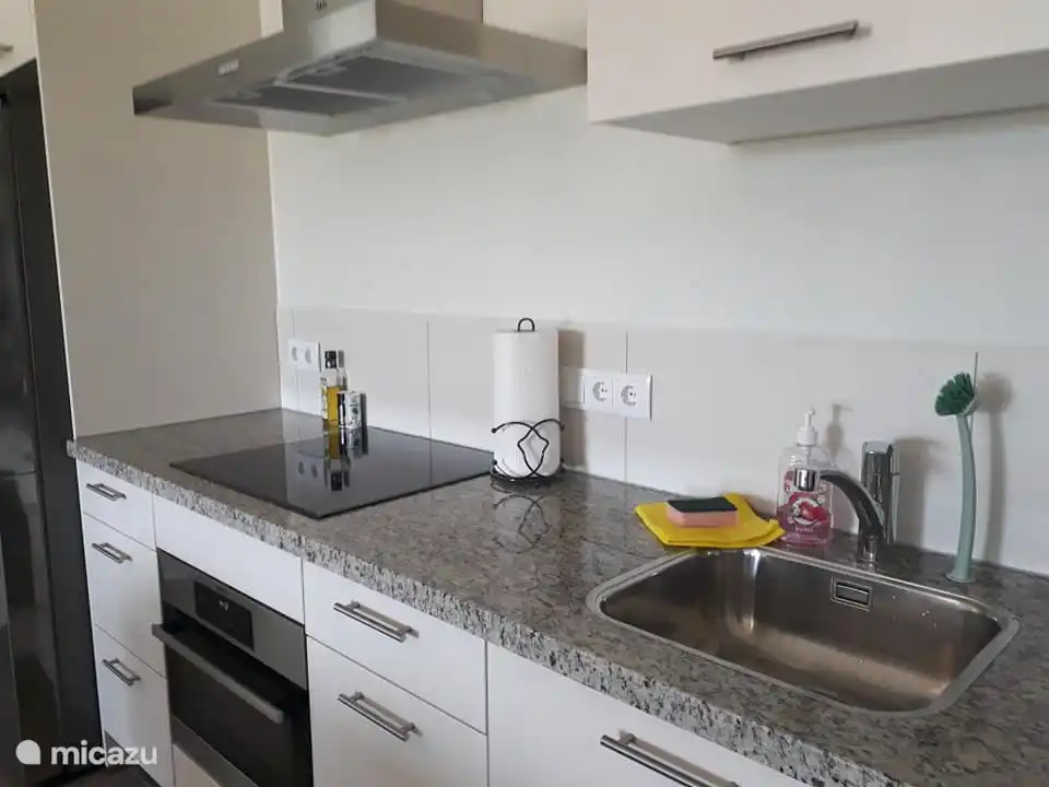 voll ausgestattete Küche mit Kombi-Backofen/Mikrowelle, Induktionskochfeld, Gefrierschrank mit Eismaschine und großem Kühlschrank, Mixer, Wasserkocher, Sandwichmaker und Kaffeemaschine