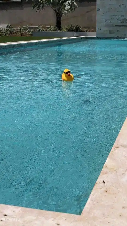 Schwimmbad zum Ausruhen :)