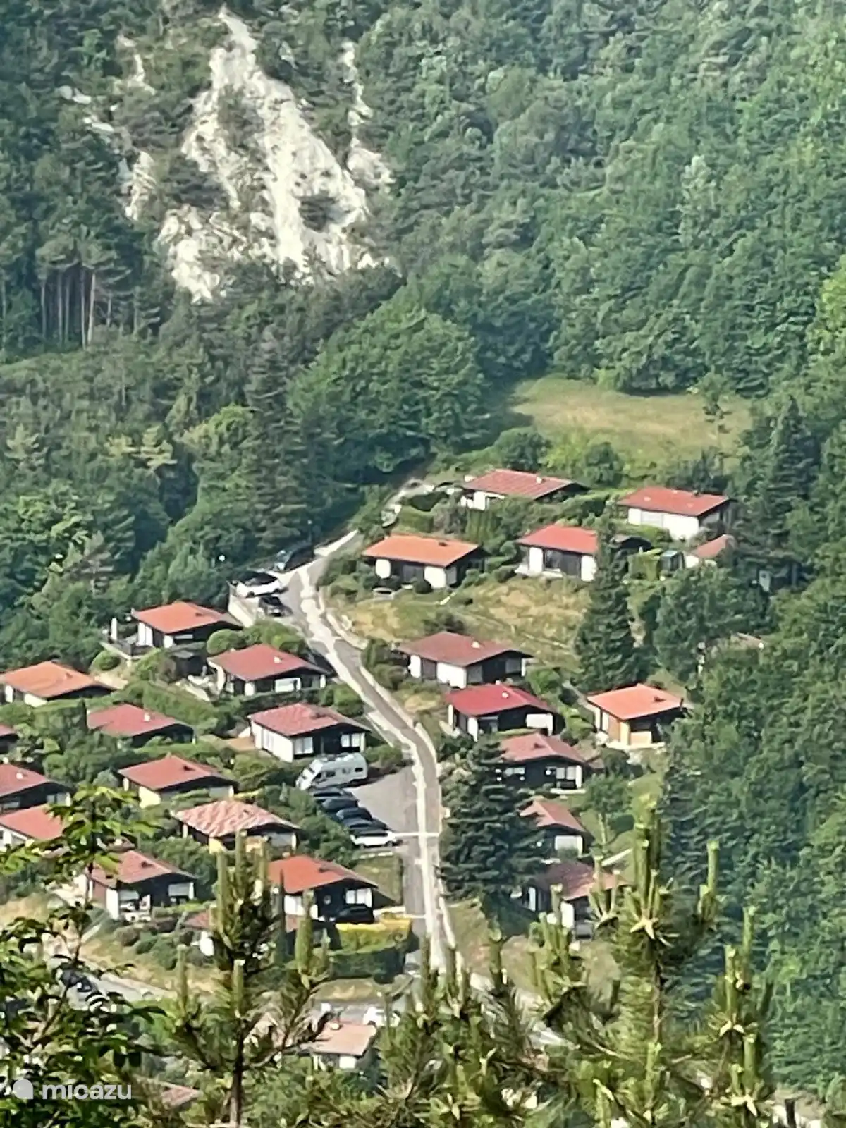 Gafas de sol de parque