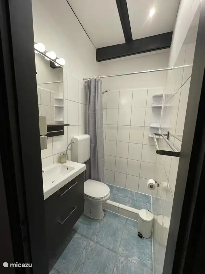 Cuarto de baño con WC 