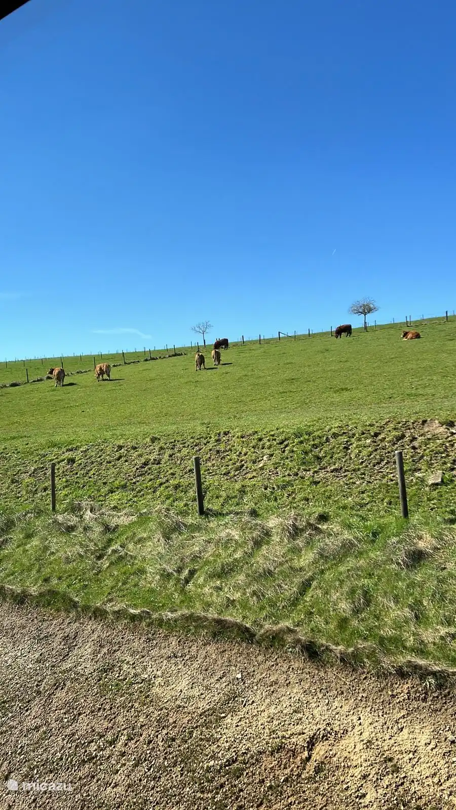 Blaues Hinterhofhaus in Wagenhausen, Eifel, Deutschland
