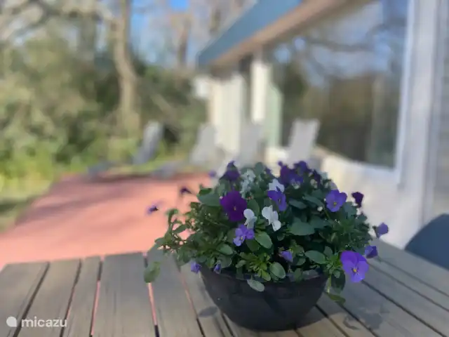 Location de Vacances Pays-Bas, Drenthe, Een, bungalow - Maison de vacances Kikker Détail extérieur