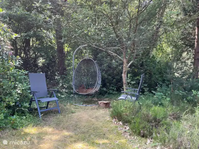 Location de Vacances Pays-Bas, Drenthe, Een, bungalow - Maison de vacances Kikker Coin d'ombre dans le jardin