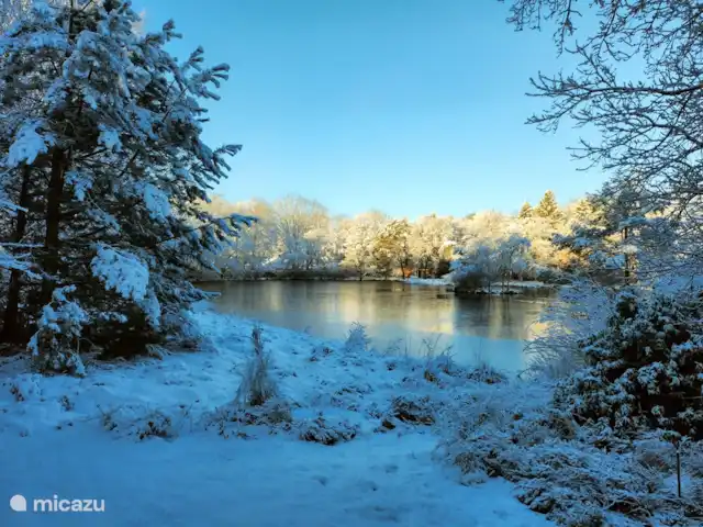 Location de Vacances Pays-Bas, Drenthe, Een, bungalow - Maison de vacances Kikker Vue d'hiver