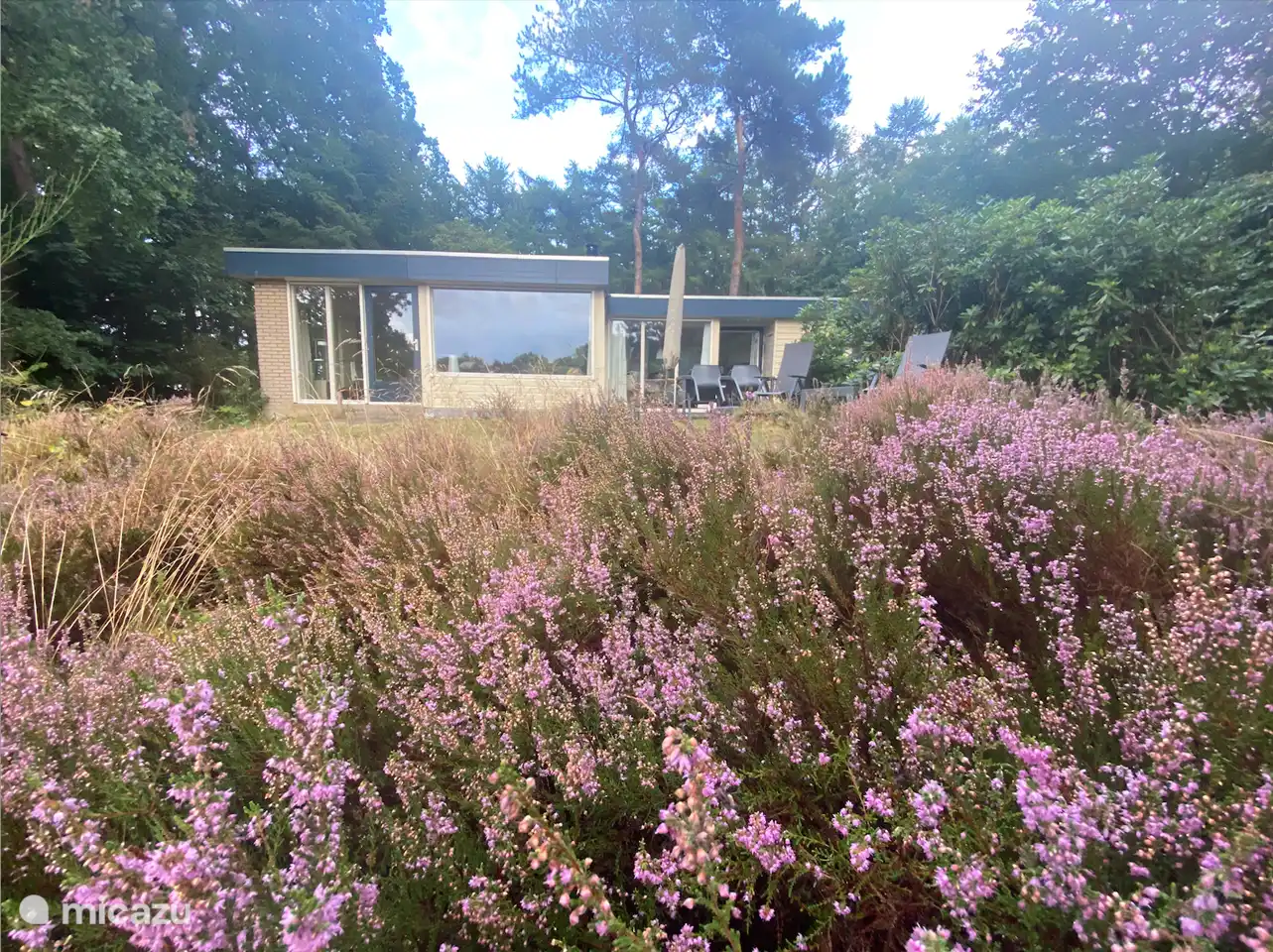 bungalow, Norg, Drenthe, Niederlande - Ferienhaus Kikker