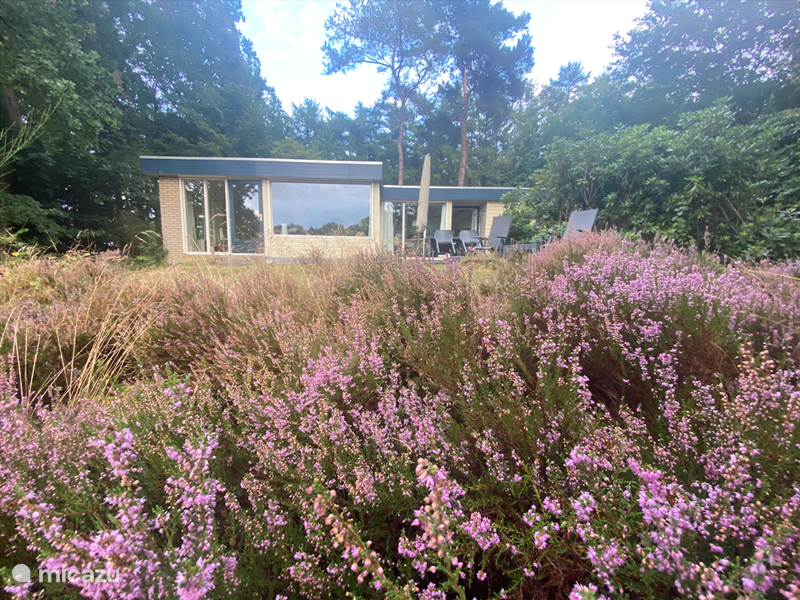 Maison de Vacances Pays-Bas, Drenthe, Een Bungalow Maison Nature Grenouille