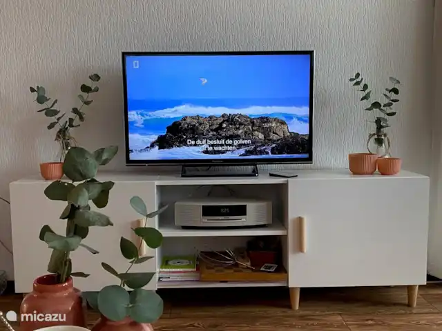 Chalet Nutter huren in Nederland, Overijssel, Nutter - chalet TV-meubel met televisie (kabel) en geluidsinstallatie en diverse spelletjes aanwezig in dit meubel.