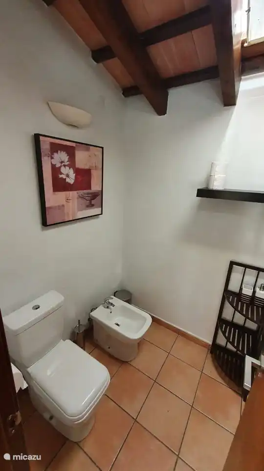 Luxuriöses Badezimmer mit Dusche 