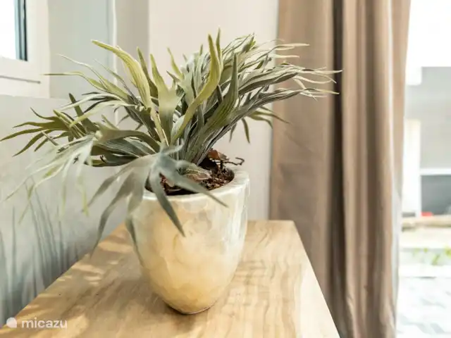 Papaya Resort huren in Curaçao, Banda Abou (west), Grote Berg - appartement Plant in slaapkemer 2
