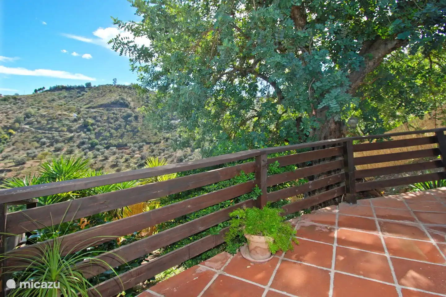 Genießen Sie eine wunderschöne Aussicht.




