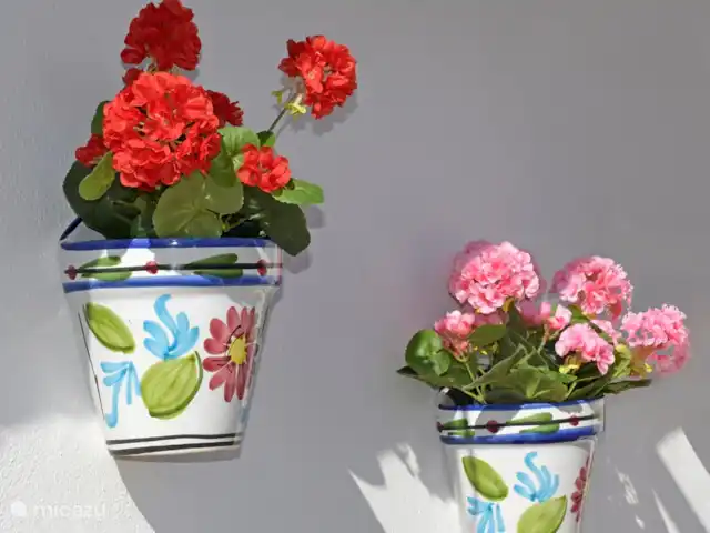 casa rural / cabaña en España, Costa del Sol, Comares – Casita Martín Detalles florales.