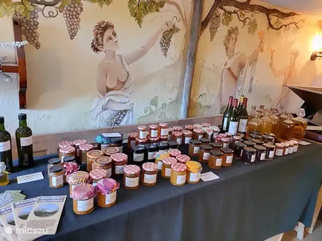 Location de Vacances Espagne, Costa Blanca, Polop, studio - Studio Libertad