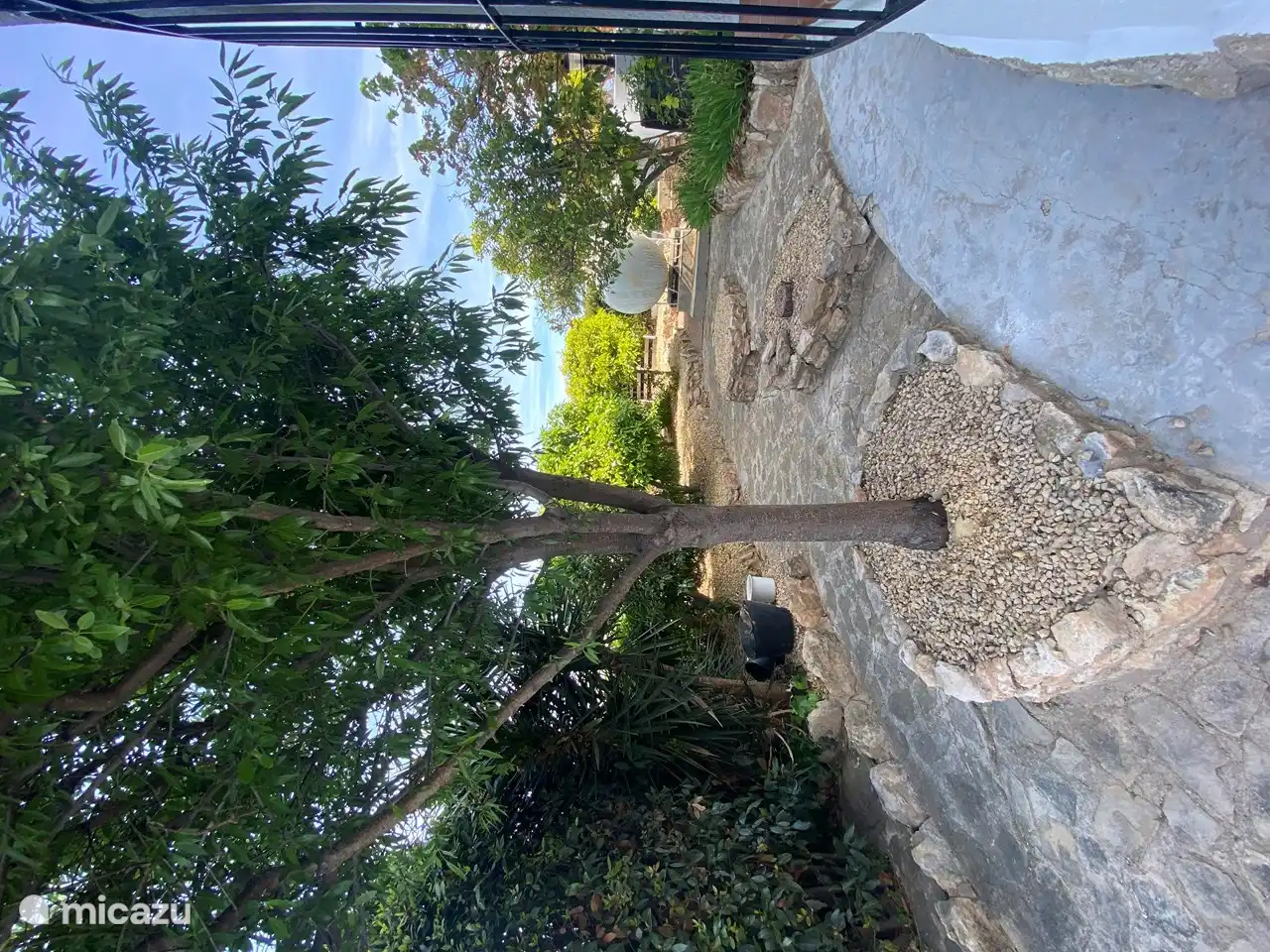 Obstgarten mit Mandelbaum, Grapefruitbaum, Mandarinen, Orangen, Linde und Zitronenbaum.