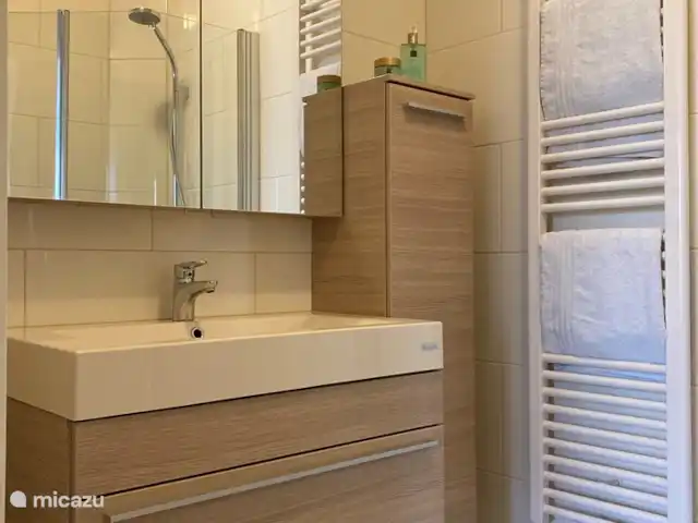 Location de Vacances Pays-Bas, Overijssel, Denekamp, maison de vacances - Maison de vacances De Sombeeck Salle de bains