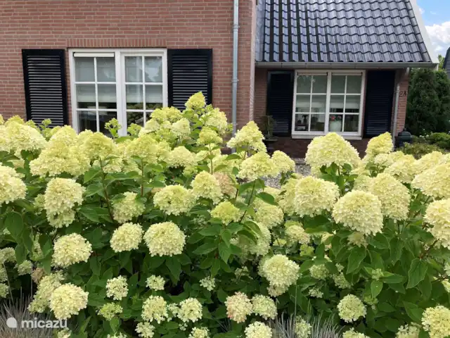 Location de Vacances Pays-Bas, Overijssel, Denekamp, maison de vacances - Maison de vacances De Sombeeck En pleine floraison