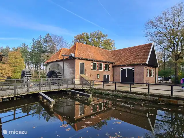 Location de Vacances Pays-Bas, Overijssel, Denekamp, maison de vacances - Maison de vacances De Sombeeck Watermill Singraven sur le domaine voisin de Singraven.