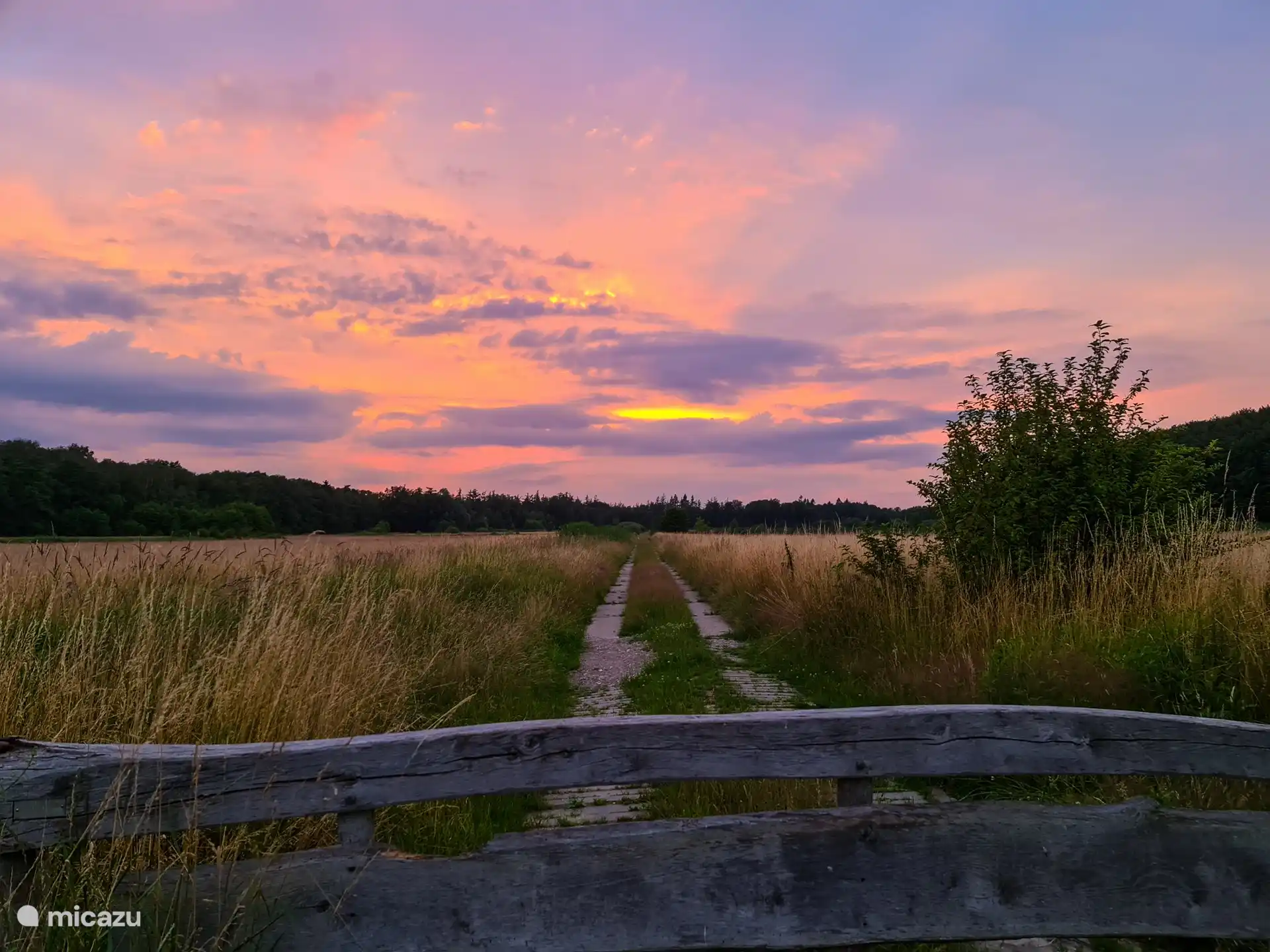 Het Roderveld tussen Denekamp en Oldenzaal.