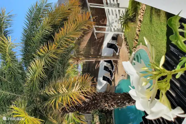 Vakantiehuis Curaçao, Banda Ariba (oost), Jan Thiel appartement Appartement S2 JAN THIEL CURACAO