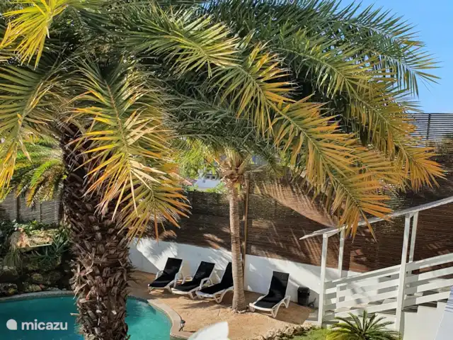 Appartement S2 JAN THIEL CURAÇAO | Curaçao, Banda Ariba (est), Jan Thiel - appartement Chaises longues sur la plage