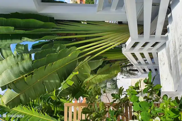 Vakantiehuis Curaçao, Banda Ariba (oost), Jan Thiel appartement Appartement S2 JAN THIEL CURACAO