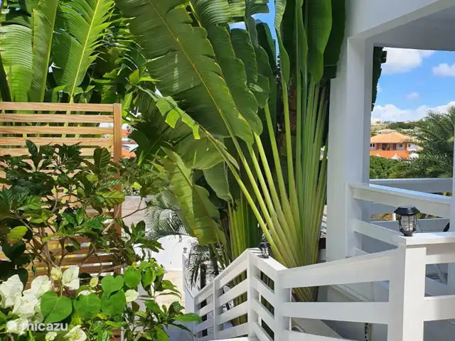 Appartement S2 JAN THIEL CURAÇAO | Curaçao, Banda Ariba (est), Jan Thiel - appartement Monter les escaliers est indispensable pour sortir