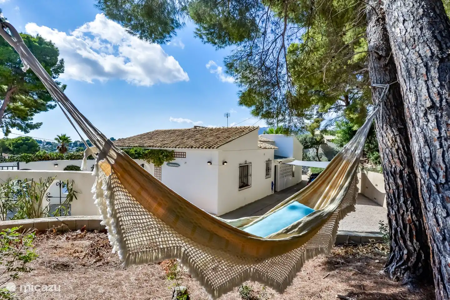 Hamaca en bosque natural