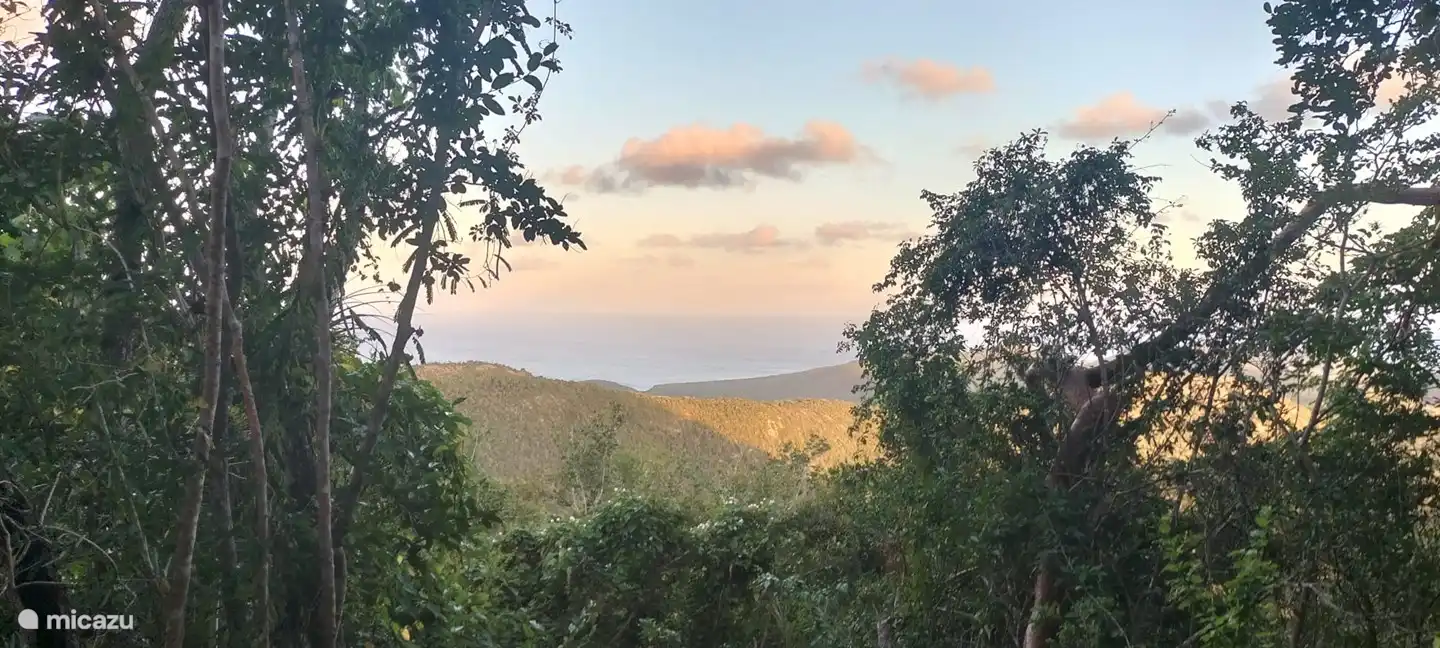 Ein weiteres der schönen Bilder, die während des Spaziergangs auf dem Christoffelberg entstanden sind.