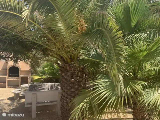 Maison Dabuti | Espagne, Costa Blanca, Benissa - villa Beaucoup de verdure dans le jardin.