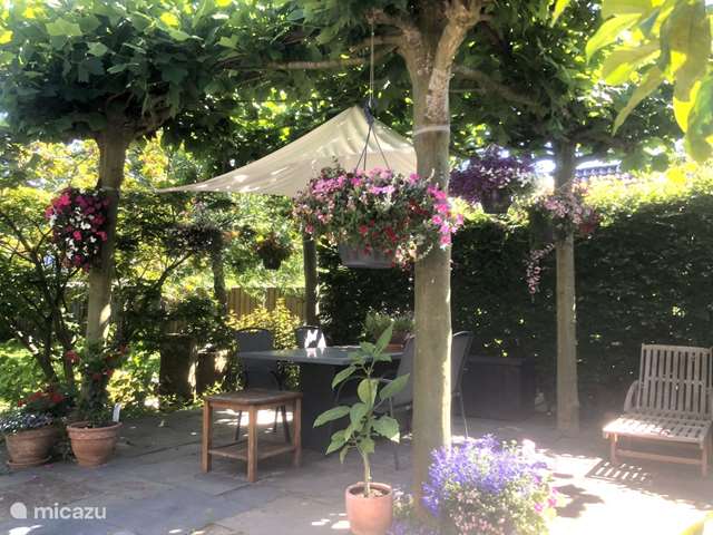 Maison de Vacances Pays-Bas, Drenthe – bungalow Bungalow indépendant avec grand jardin