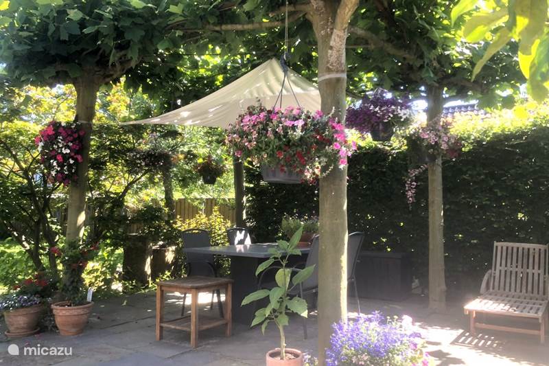 Maison de Vacances Pays-Bas, Drenthe, Zeijen Bungalow Bungalow indépendant avec grand jardin