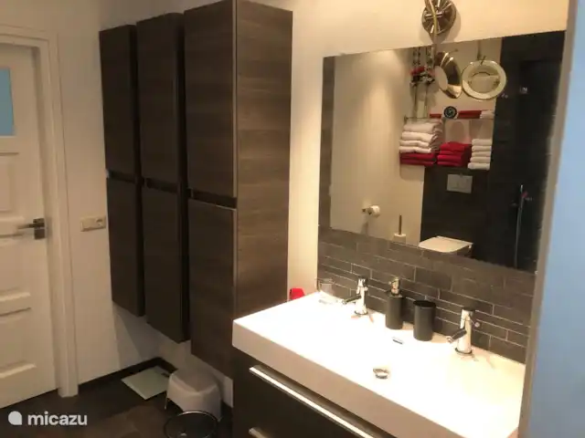 bungalow huren in Nederland, Drenthe, Zeijen – Vrijstaande bungalow met grote tuin Badkamer met dubbele wastafel. In de spiegel is het toilet en een stukje van de doucheruimte te zien (met glasdeur en regendouche).