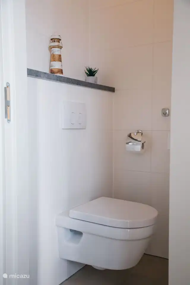 Begane grond: toilet